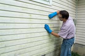 Best Vinyl Siding Installation  in Bellemont, AZ